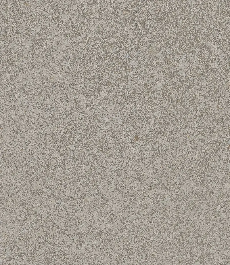 Ignis Gr Hard — Portinari